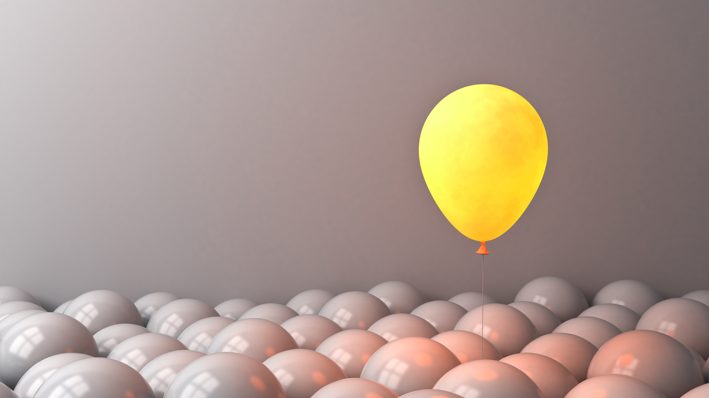 From challengers to champions - what can we learn from the success stories of challenger brands?