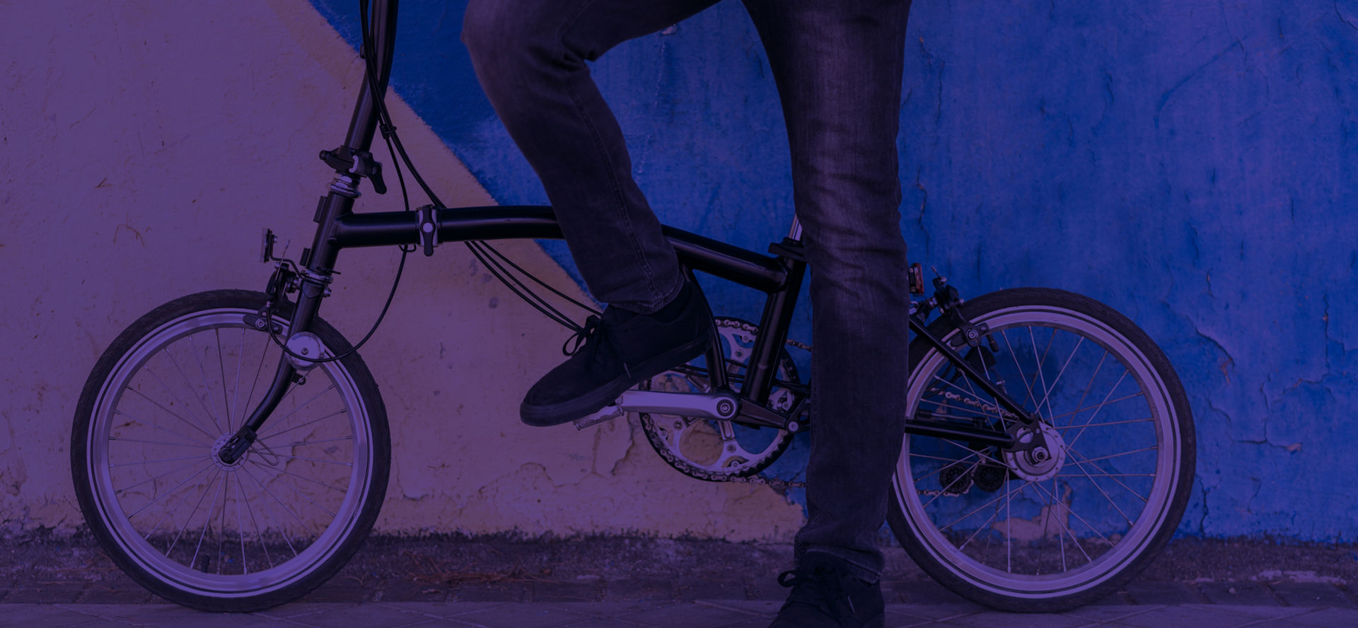 Health and Lifestyle